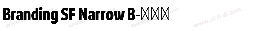 Branding SF Narrow B字体转换